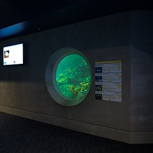 Deep Ocean - Sharks Of The Deep Exhibit