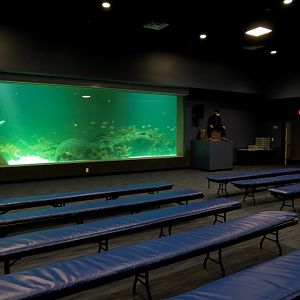 Deep Ocean - Sharks Of The Deep Exhibit Viewed From 3D Theater