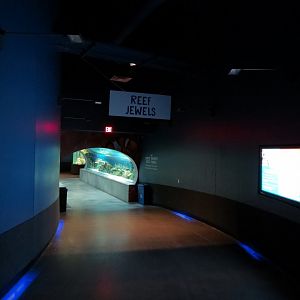Reef Jewels - Hallway