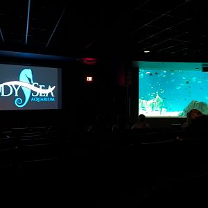 Living Sea Carousel - Theater Rotating Between Exhibits