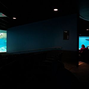 Living Sea Carousel - Theater Rotating Between Exhibits