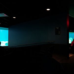 Living Sea Carousel - Theater Rotating Between Exhibits