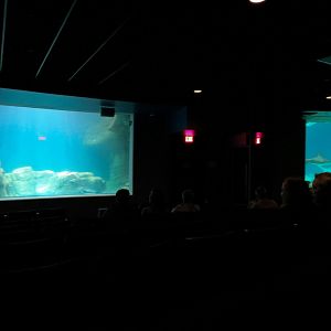 Living Sea Carousel - Theater Rotating Between Exhibits