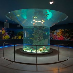 Ocean Art - Ocean Blue Martini Exhibit