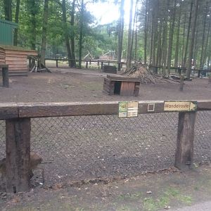 Muntjac-enclosure