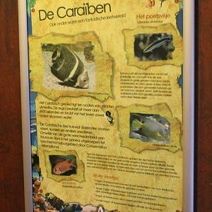 Sign Caraibean aquarium