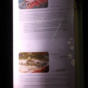 Signs empty aquarium