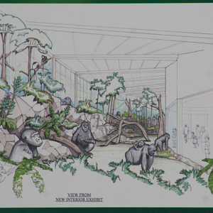 Jan. 2017 - Gorilla World - Rendering of Expansion