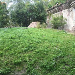 Maharajah Jungle Trek- Tiger