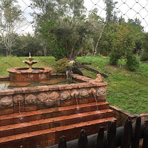 Maharajah Jungle Trek- Tiger