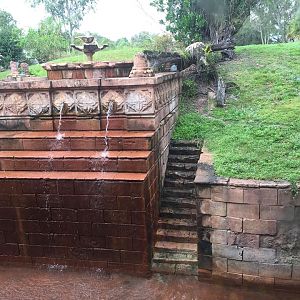 Maharajah Jungle Trek- Tiger