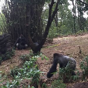 15940943_10211998449098165_2853497972425579332_n