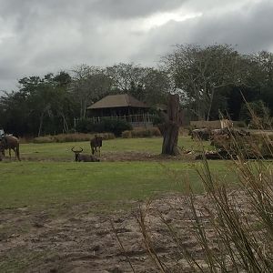 Wild Africa Trek- Savannah West