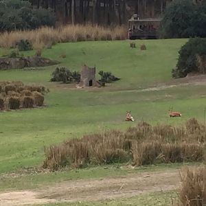 Wild Africa Trek- Savannah West