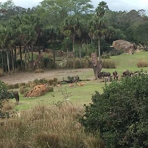 Wild Africa Trek- Savannah West