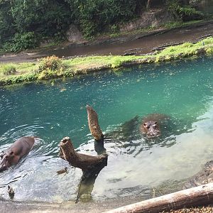 15966252_10211997318309896_4339751250576480925_n