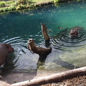 15965270_10211997318189893_8958231162901694718_n