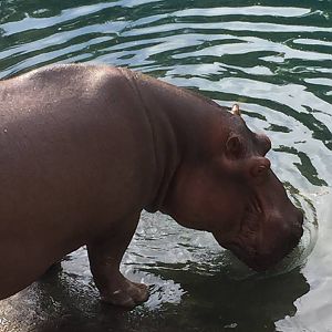 15940507_10211997318149892_8517120845242729302_n