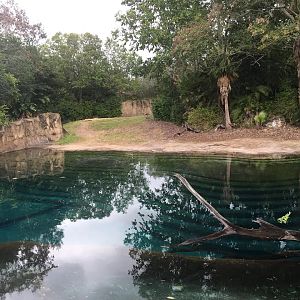 Kiliminjaro Safaris- Bull African Elephant Yard