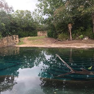 Kiliminjaro Safaris- Bull African Elephant Yard