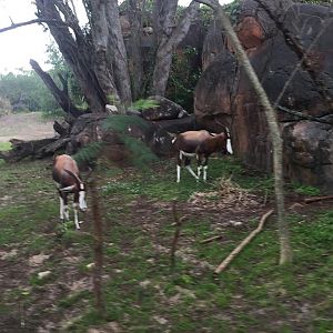 15965103_10212004053318267_4172386405399839412_n