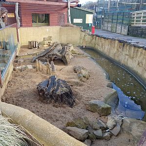 Meerkat enclosure (second half) - Noahs Ark Zoo Farm - Jan, 2017