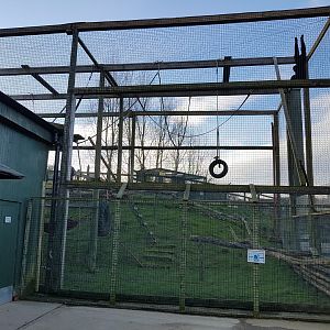 Part of the second (smaller) Siamang Enclosure - Noahs Ark Zoo Farm