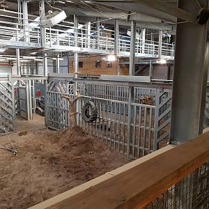 Indoor Elephant Facility - Noahs Ark Zoo Farm