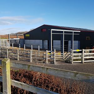 Elephant Facility - Noahs Ark Zoo Farm