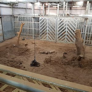 Indoor Elephant Facility - Noahs Ark Zoo Farm
