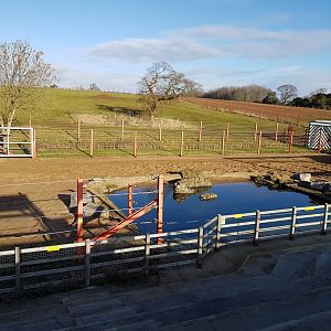 Elephant Pool - Noahs Ark Zoo Farm