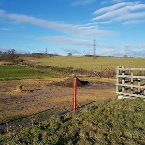 View of large elephant padock in the background - Noahs Ark Zoo Farm