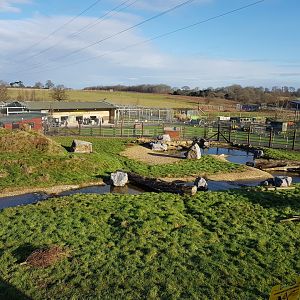 Spectacled Bear Enclosure - Noahs Ark Zoo Farm