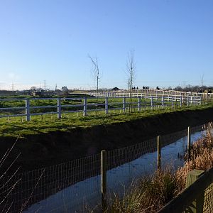 Into Africa Rhino Paddocks at Yorkshire WP, 14/01/17
