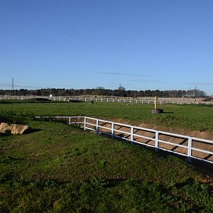 Into Africa Rhino Paddocks at Yorkshire WP, 14/01/17