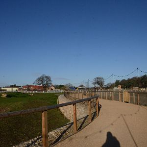 Into Africa at Yorkshire WP, 14/01/17