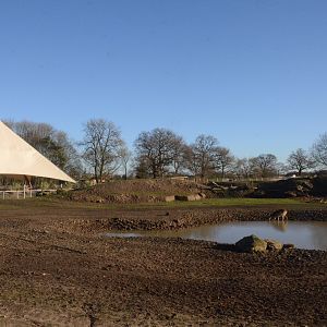Into Africa (Mixed Paddock) at Yorkshire WP, 14/01/17