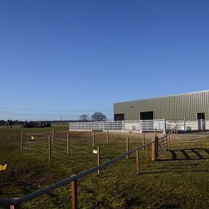 New Camel Paddock at Yorkshire WP, 14/01/17