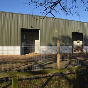 Into Africa at Yorkshire WP, 14/01/17