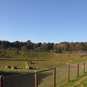 Project Polar at Yorkshire WP, 14/01/17