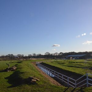 Into Africa Rhino Paddocks at Yorkshire WP, 14/01/17