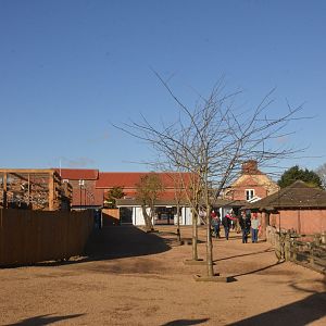 Entrance Area with Off-show Lemurs at Yorkshire WP, 14/01/17