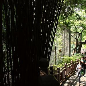 The viewing corridor of Jaguar Exhibit