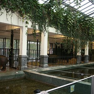 Hippopotamus indoor stable