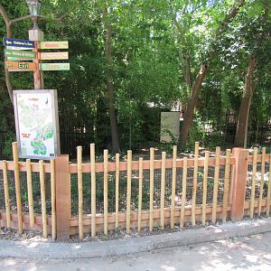 New Asian Brown Tortoise Exhibit