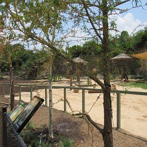Expanded Asian Elephant Habitat