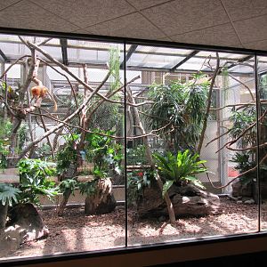 Renovations for Golden Lion Tamarin and Armadillo