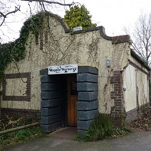 Reptile Nursery, January 2017