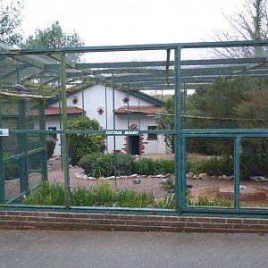 Cottage Aviary, January 2017