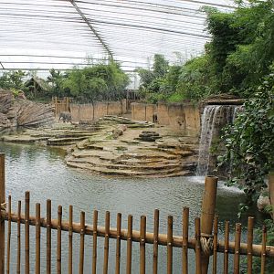 Asian elephant enclosure - Indoor